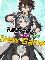 不自重前勇者强大又轻松的NEW GAME